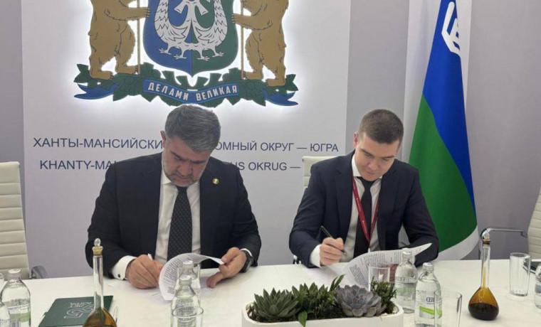 Для Чеченской Республики разработают стратегию развития энергетического комплекса