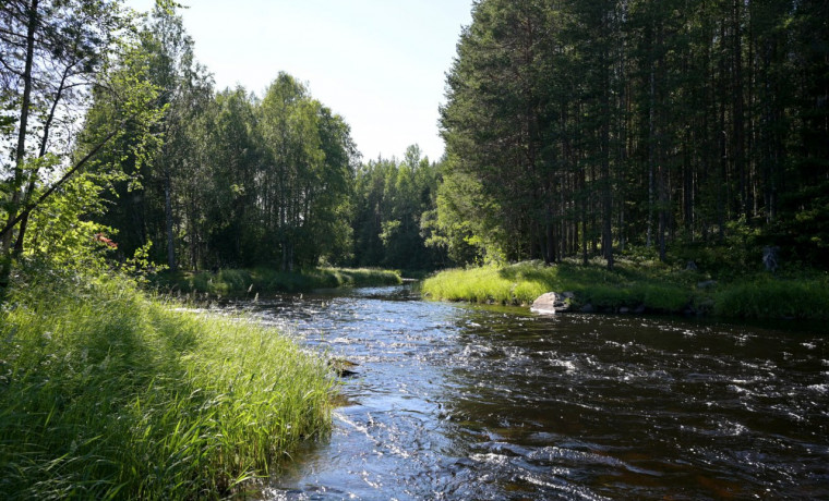 Чеченская Республика, Владимирская область и Татарстан получат 135 млн рублей на расчистку рек