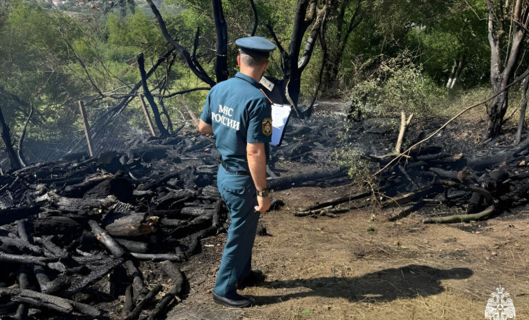 В Чеченской Республике составлено 140 протоколов за поджоги ландшафта