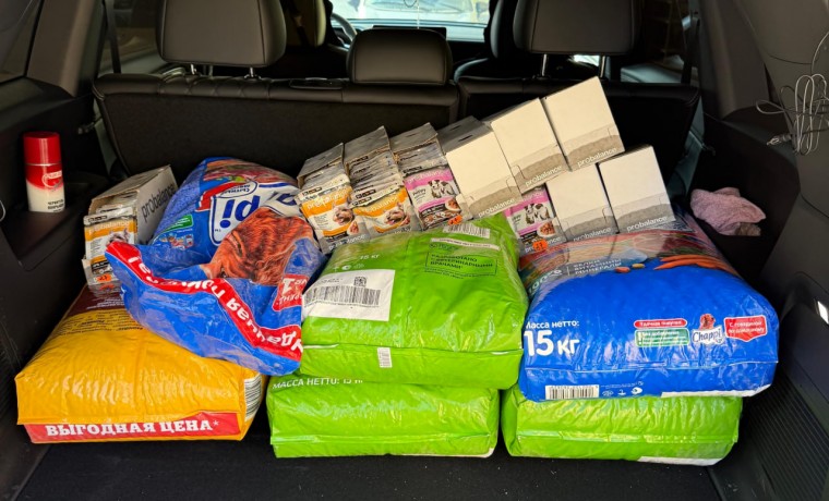 Россельхознадзор по ЧР поддержал благотворительную акцию «Помоги коту пережить зиму»