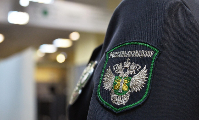 В Чеченской Республике аннулирована декларация на 1 тыс. тонн пшеницы