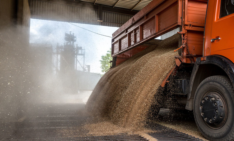 Россельхознадзор проконтролировал отгрузку 5 тыс. тонн зерна из ЧР в порты Ростова и Астрахани