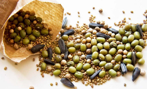 Россельхознадзор выявил 16 нарушений в сфере семеноводства в Чеченской Республике