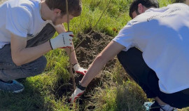 Активисты клуба «Путин» провели акцию по посадке саженцев в рамках проекта «ЭкоПрогресс»
