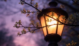 В нескольких районах Чеченской Республики 12 марта отключат электроэнергию