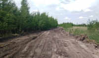 На территории Урус-Мартановского лесничества появились лесные дороги противопожарного назначения