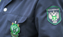 Ветеринарные документы на 1,8 тыс. партий аннулированы из-за нарушений в ЧР и Ингушетии