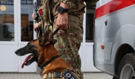 Кинолог ОМОН «АХМАТ-1» стал призером чемпионата Северо-Кавказского округа Росгвардии