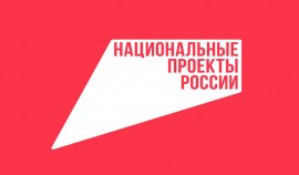 Более 1 млн школьников уже приняли участие во Всероссийской онлайн-олимпиаде «Безопасный интернет»