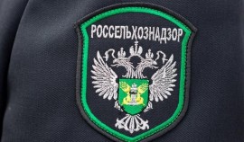 Россельхознадзор пресек оборот зерновой продукции в ЧР, не соответствующей требованиям безопасности