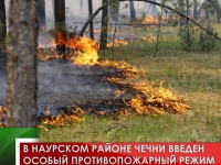 В Наурском районе Чечни введен особый противопожарный режим