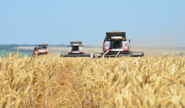 В России впервые пройдет Всероссийский агродиктант