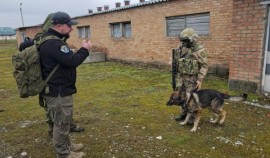 Сюжет о кинологическом подразделении ОГВ(с) подготовили журналисты телеканала «RT»