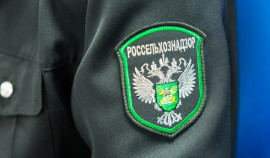 Россельхознадзор следит за соблюдением законодательства с помощью модулей искусственного интеллекта