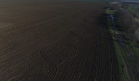 В Чеченской Республике проверили 461 га озимых на соблюдение норм применения родентицидов| грозный, чгтрк