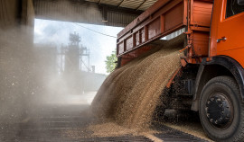 Россельхознадзор проконтролировал отгрузку 5 тыс. тонн зерна из ЧР в порты Ростова и Астрахани