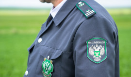 Россельхознадзор впервые провел внеплановую проверку в ЧР с помощью приложения «Инспектор»