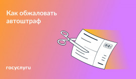 Как обжаловать автоштраф: пошаговая инструкция для автовладельцев