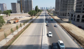 На Старопромысловском шоссе высадят около 1000 деревьев и более 12000 кустарников