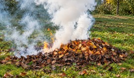 Сжигание листвы угрожает здоровью и экологии — Минприроды ЧР