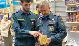 В Грозном проинспектирован специализированный магазин по продаже пиротехники