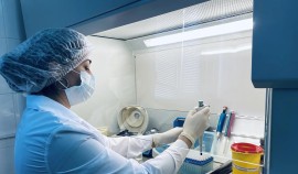 Экспортный контроль подтвердил безопасность зерновой продукции из Чеченской Республики| грозный, чгтрк
