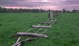 В Чеченской Республике вывели из оборота 10 га сельхозземель