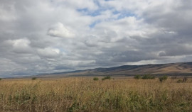 Россельхознадзор выявил зарастание 30 га сельхозземель в ЧР