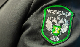 Россельхознадзор подтвердил устранение нарушений ООО ПКФ «ЭЛИТА» в ЧР