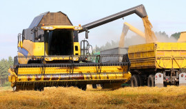 Более 1,7 тыс. тонн зерна из ЧР поставлено в порты Юга России под контролем Россельхознадзора