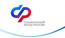 СФР по ЧР с начала года обеспечил выплаты по уходу за близнецами до 1,5 лет более 130 семьям