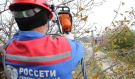 В ЧР от опасной растительности очистят более 101 га трасс ЛЭП