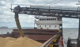 Россельхознадзор проконтролировал отправку 3,5 тыс. тонн ячменя из ЧР в астраханский порт| грозный, чгтрк