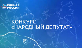 Муниципальные депутаты со всей страны представили практики работы с избирателями