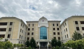 Отделение СФР по Чеченской Республике предоставило услуги более 24 тысячам мам