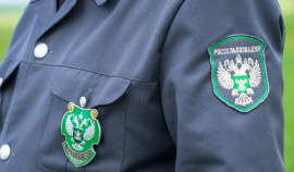 Поставки кориандра из Чеченской Республики в Узбекистан превысили прошлогодние показатели в 2,6 раза