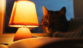 Вниманию потребителей АО «Чеченэнерго»!