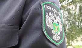 Россельхознадзор обсудил привлечение пенсионеров к волонтерскому ветеринарному контролю на рынках ЧР