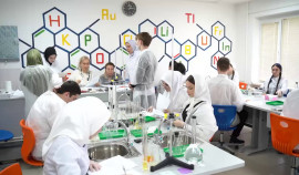 Более 40 школьников ЧР принимают участие в региональном этапе Всероссийской олимпиады по химии