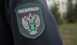 Россельхознадзор обсудил меры ветеринарного благополучия в Чеченской Республике