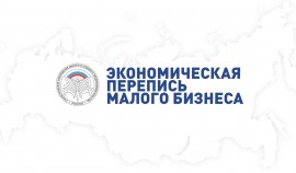 В России проходит экономическая перепись малого бизнеса
