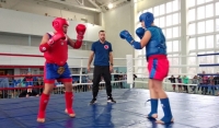  В 2020 году Всероссийский турнир по тайскому боксу может пройти в Чечне 