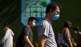 Новый вид генипавируса обнаружили в Китае