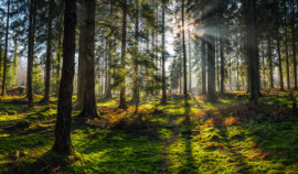 В Чеченской Республике прошли выездные мероприятия по популяризации природных территорий