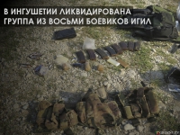 В Ингушетии ликвидирована группа из восьми боевиков ИГИЛ