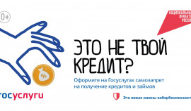 Почти 16 млн россиян установили самозапрет на кредиты через Госуслуги