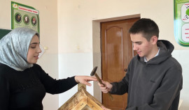 «Поможем птицам»: Серноводский школьник создал сказочный домик для пернатых