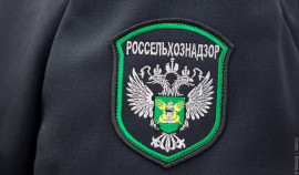 Россельхознадзор и «Чеченсортсемовощ» договорились о взаимодействии по контролю за семенами