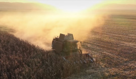 В Чеченской Республике собрали уже 42,8 тыс. тонн кукурузы