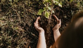 Урус-Мартановское лесничество подводит итоги работы по лесовосстановлению